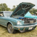 Hillside_2018-08-14_DSC6517
