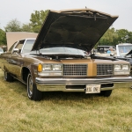 Hillside_2018-08-14_DSC6519