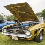 Hillside_2018-08-14_DSC6547