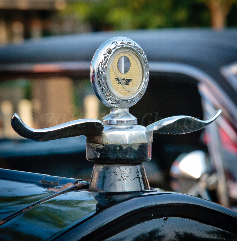 CruiseNight-9521 CruiseNight-9521