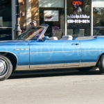 DSC5221