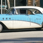 DSC5223