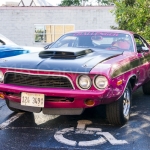 DSC5232