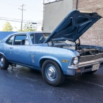 DSC5239