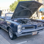DSC5246