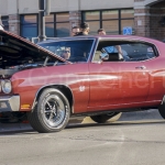 DSC5248
