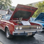 Lombard_2018-08-11_DSC6466