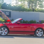 DSC8460