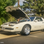 DSC4311