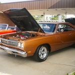DSC4317