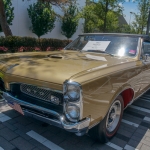 OakBrook-_DSC2328