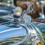 OakBrook-_DSC2332