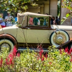 OakBrook-_DSC2343