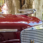 OakBrook-_DSC2349