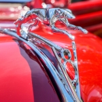 OakBrook-_DSC2365