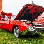 Riverside-_DSC3755