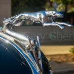 Riverside-_DSC0576